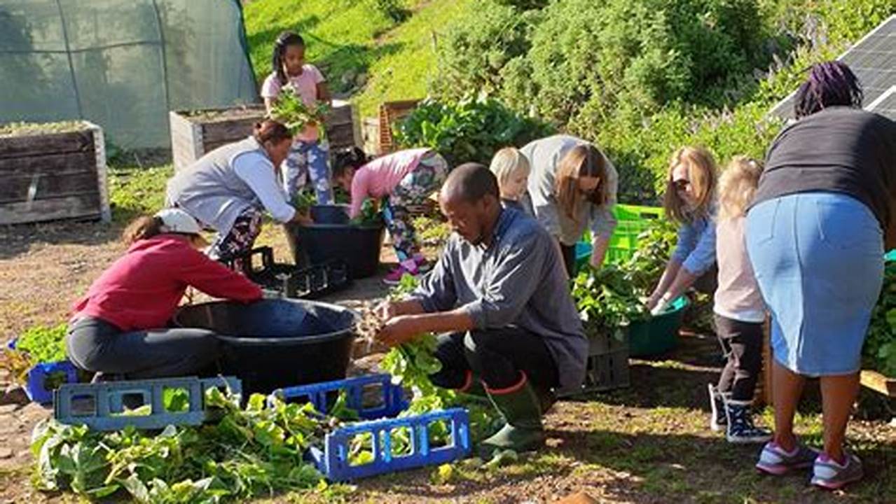 Community Engagement, Farming Practices