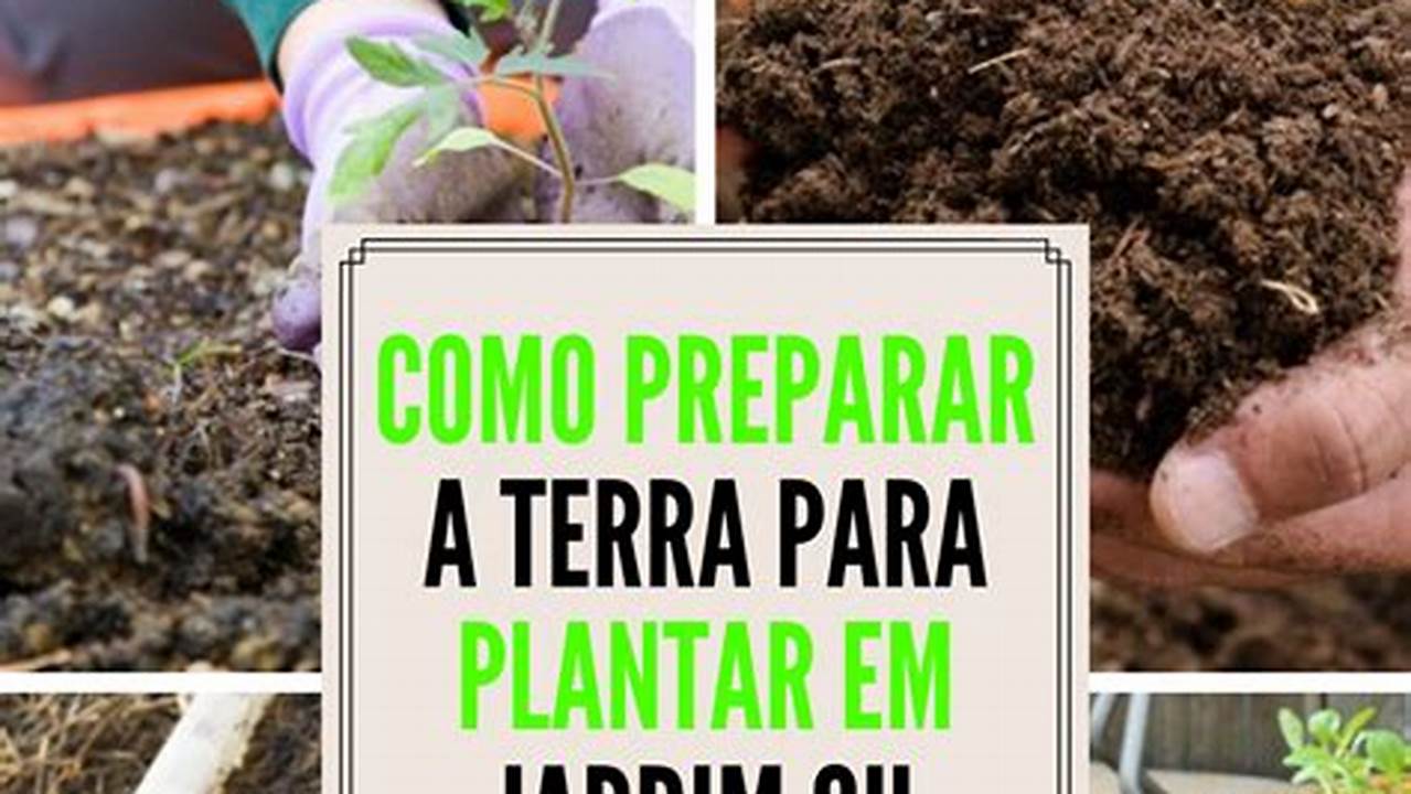 Como Preparar A Terra Para Plantar Podocarpo