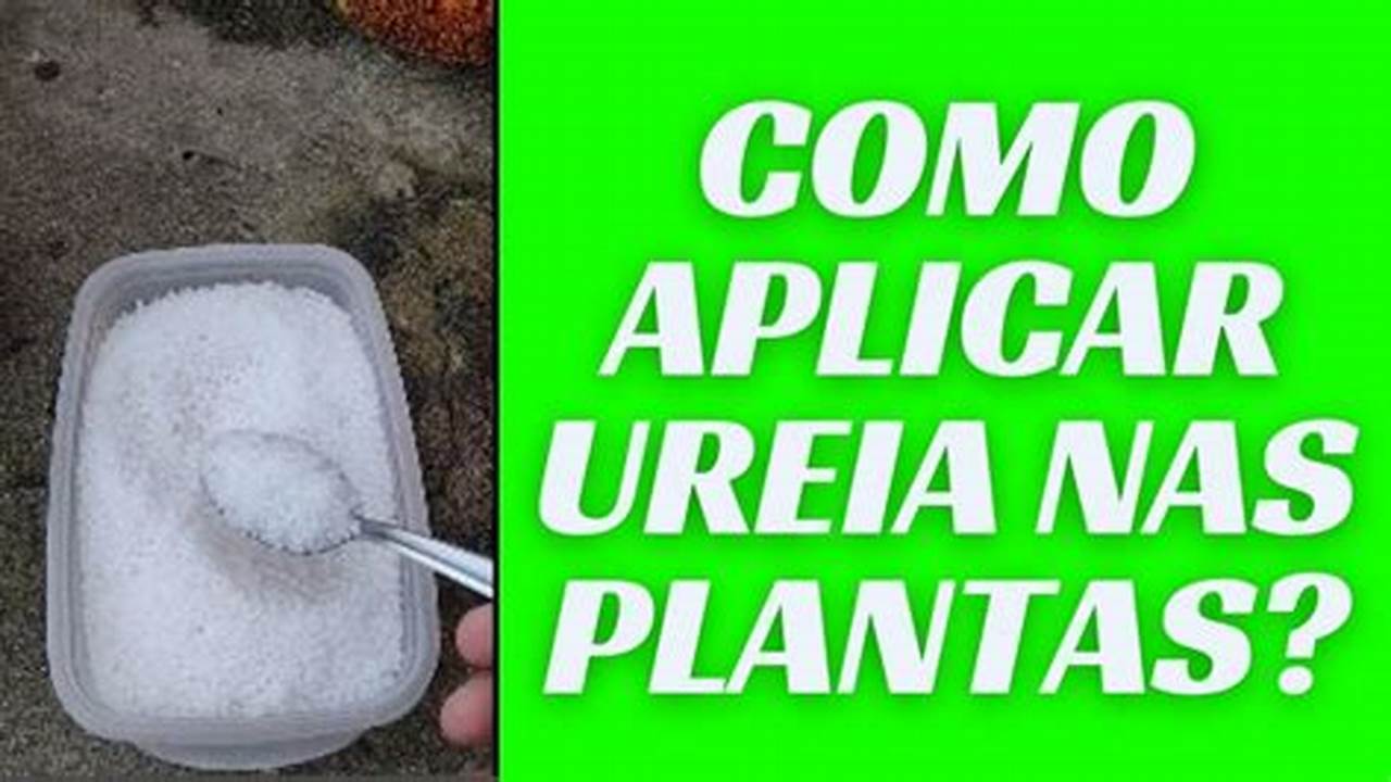 Como Saber Se Posso Colocar Ureia Em Uma Planta?, Plantas