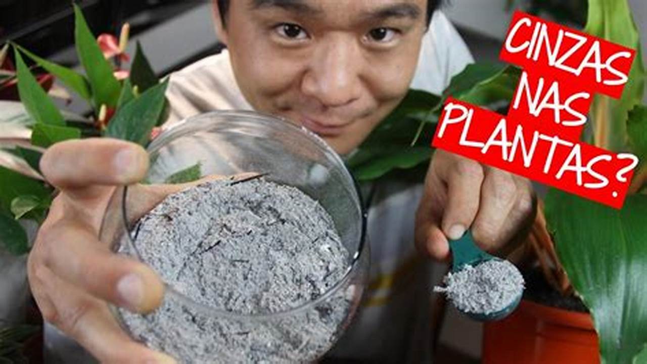 Como Usar A Cinza De Carvão Nas Plantas?, Plantas