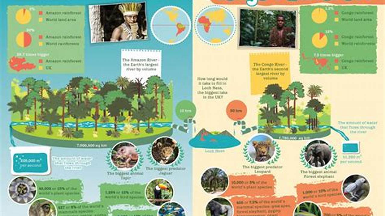 Congo Rainforest Vs Amazon