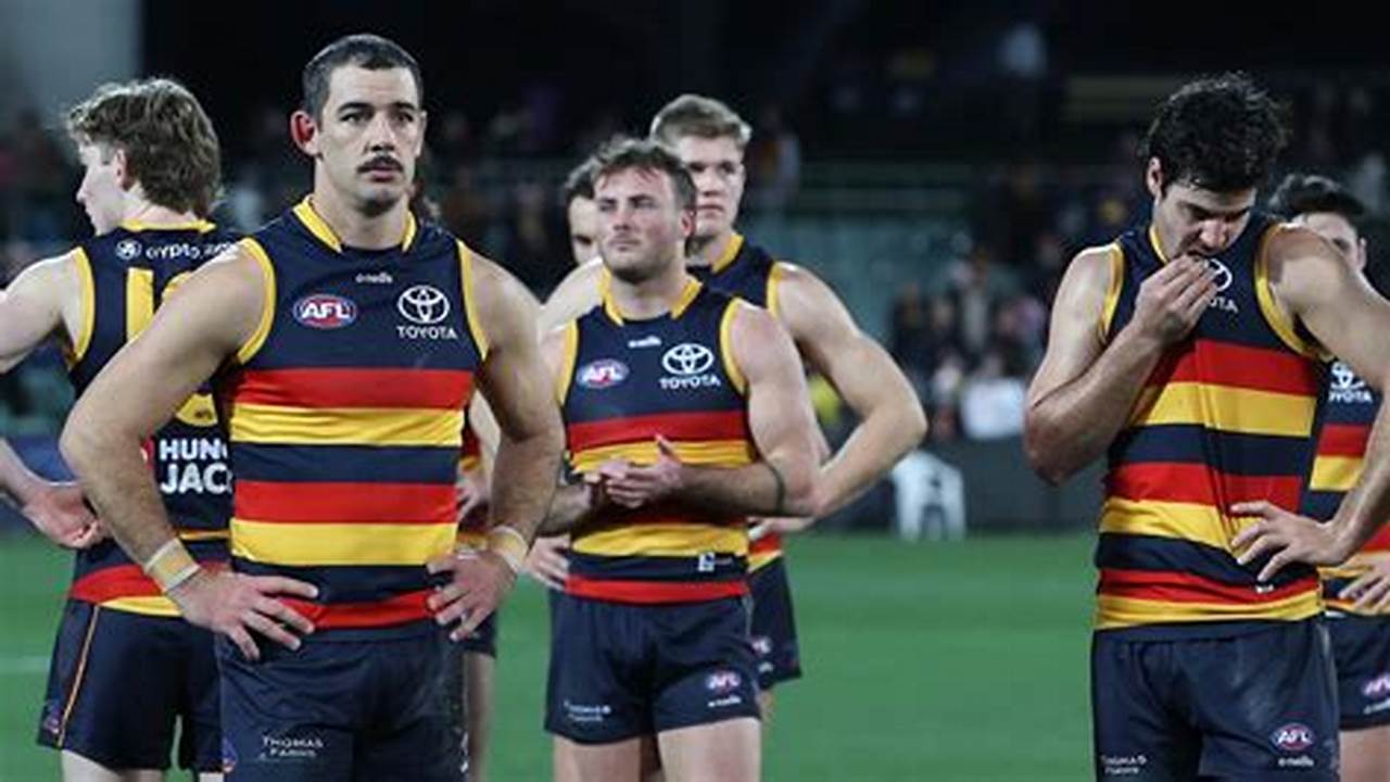 Contract Security Is What All Coaches Crave And Despite A Round 1 Loss, The Adelaide Crows Have., 2024