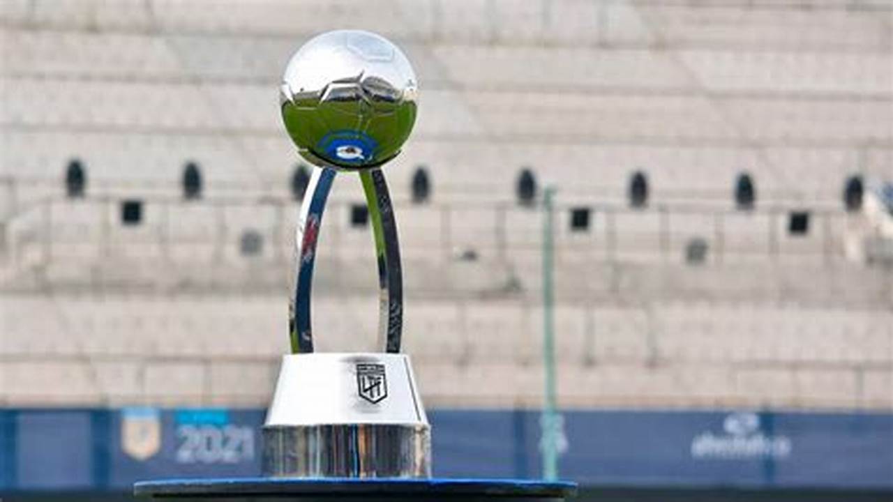 Copa De Liga Profesional Argentina 2024