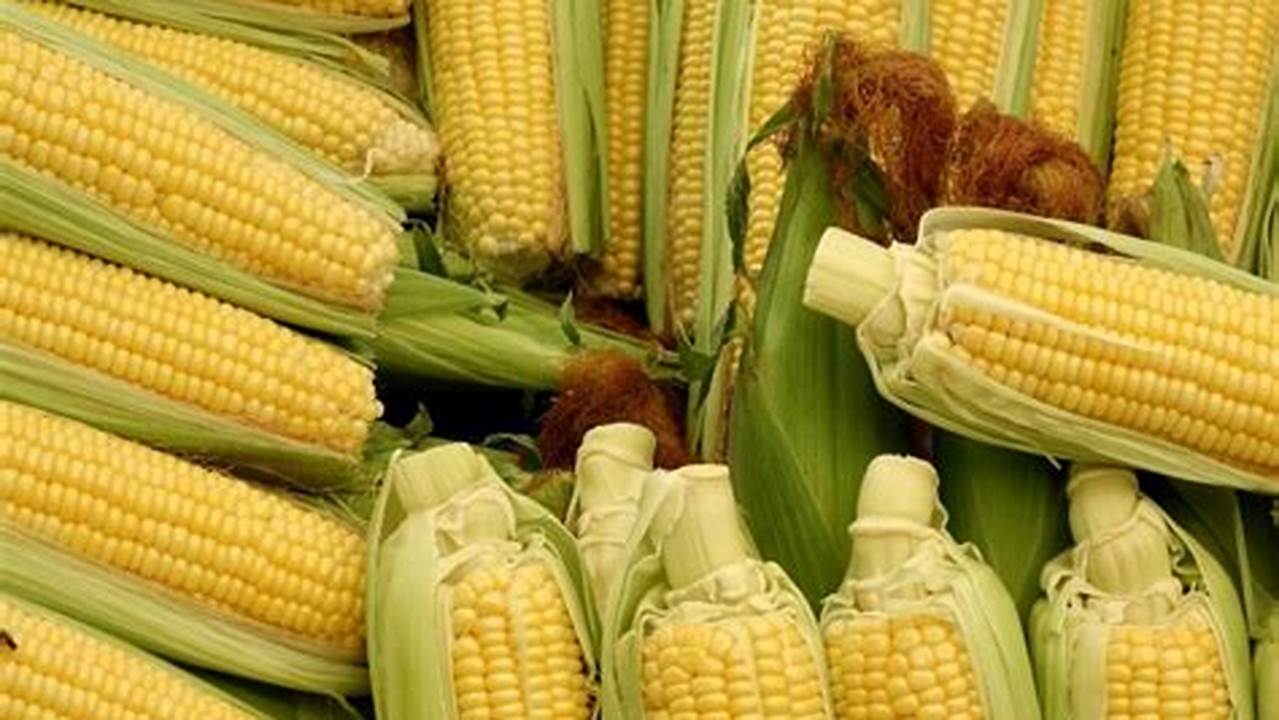 Corn On The Cob Days Plainview Mn 2024