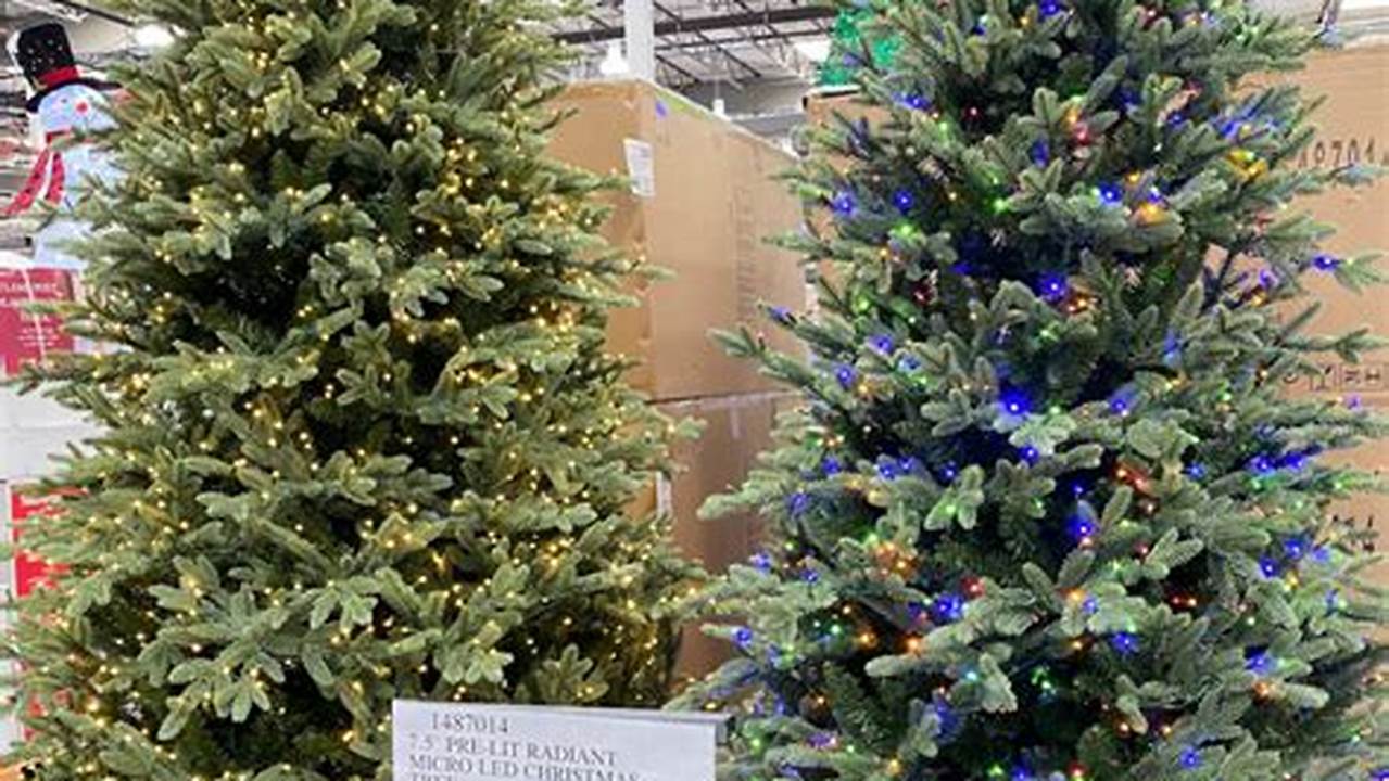 Costco Christmas Tree 2024
