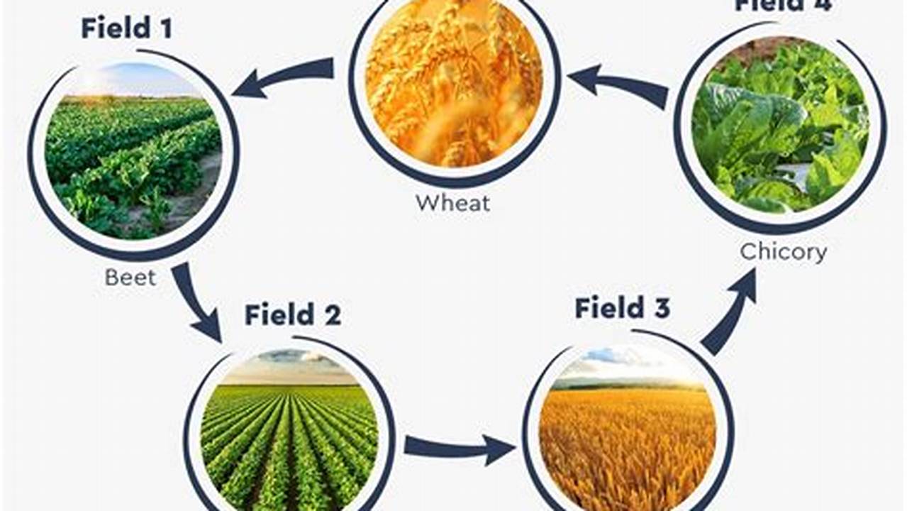 Crop Rotation, Farming Practices