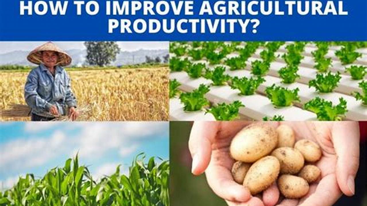 Crop Yield Enhancement, Farming Practices