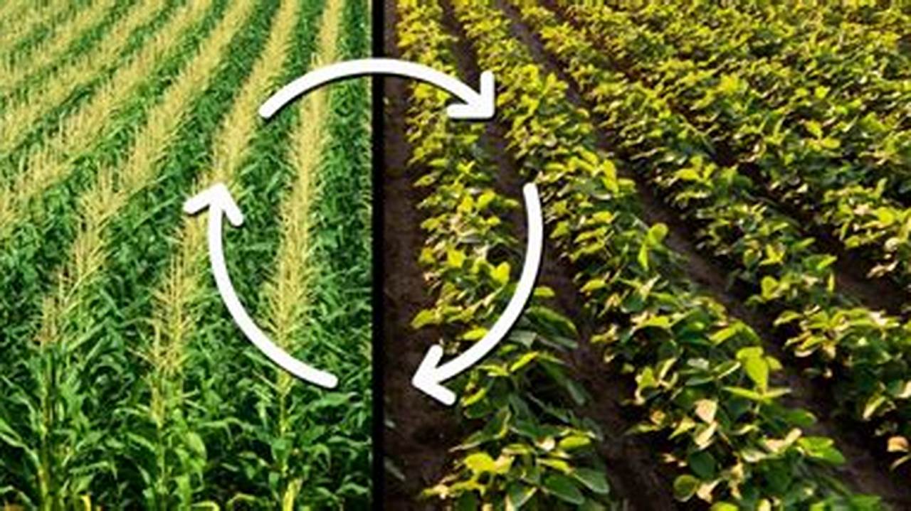 Crop Rotation, Farming Practices