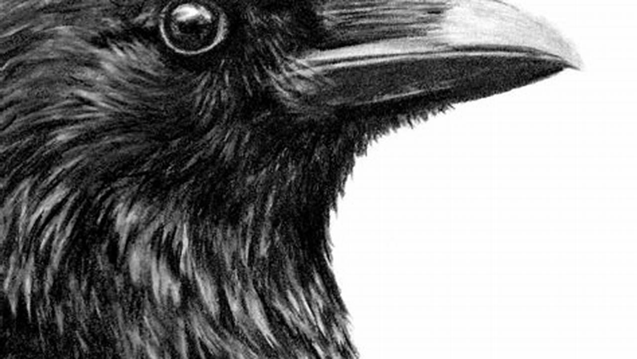 Crow Pencil Drawing - A Step-by-Step Guide for Beginners