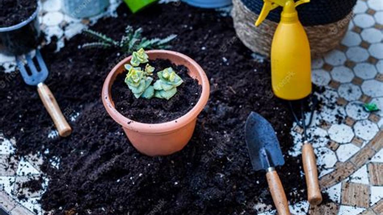 Cuidados E Manutenção, Plantas