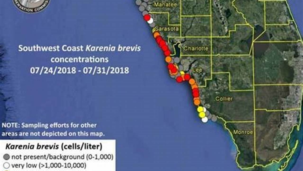 Current Florida Algae Bloom Map 2024
