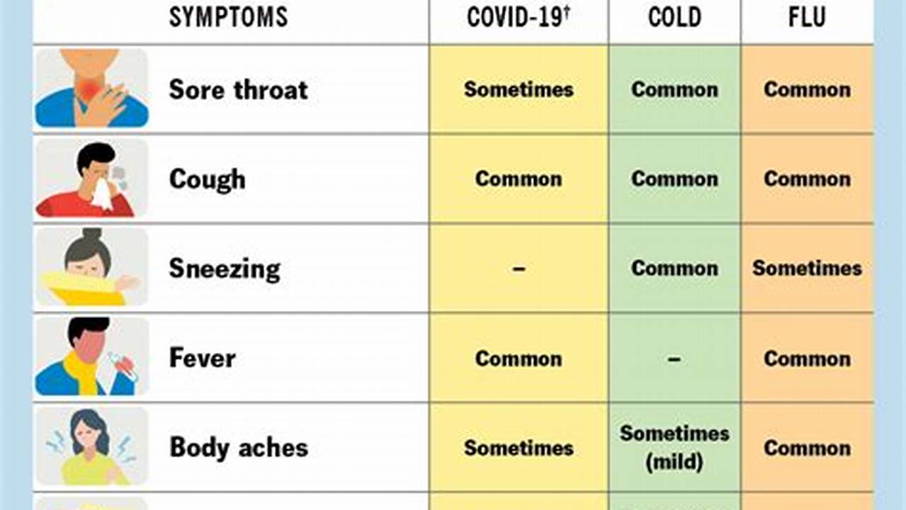Current Flu Symptoms 2024 Usa
