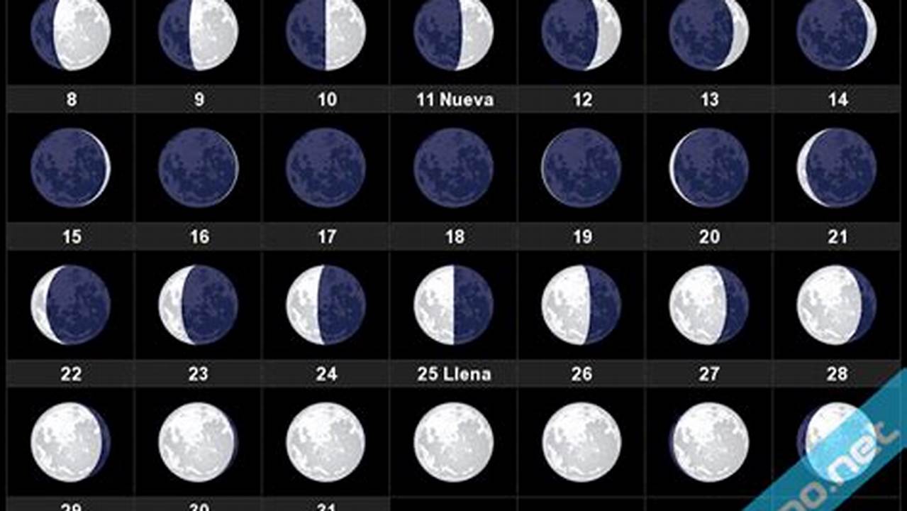 Días Festivos Fechas Importantes Fases Lunares., 2024