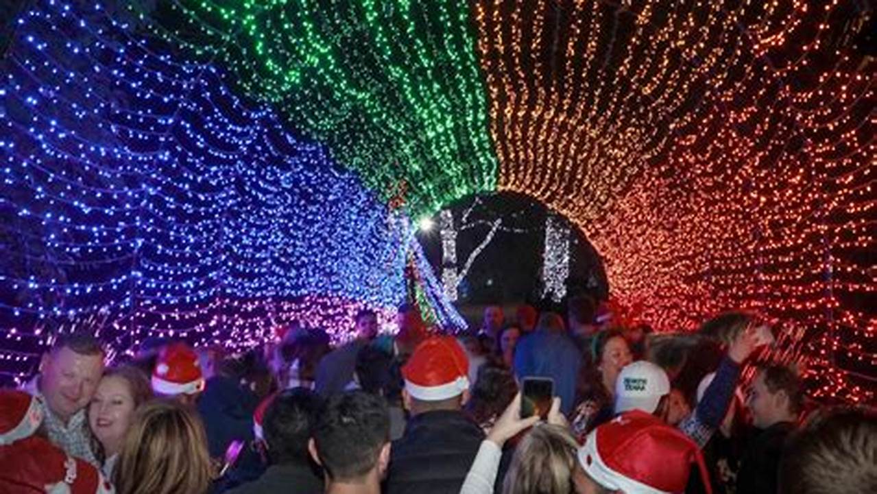 Dallas Zoo Christmas Lights 2024