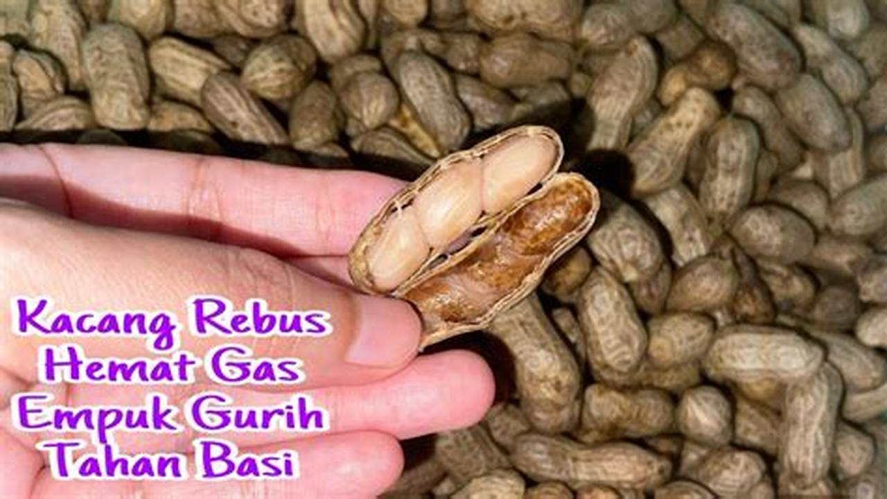 Dampak Konsumsi Kacang Rebus Basi, Resep7-10k