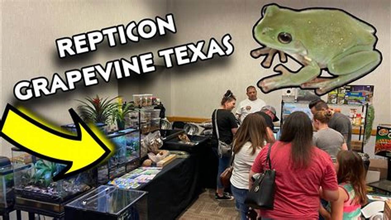 Daytona Reptile Expo 2024