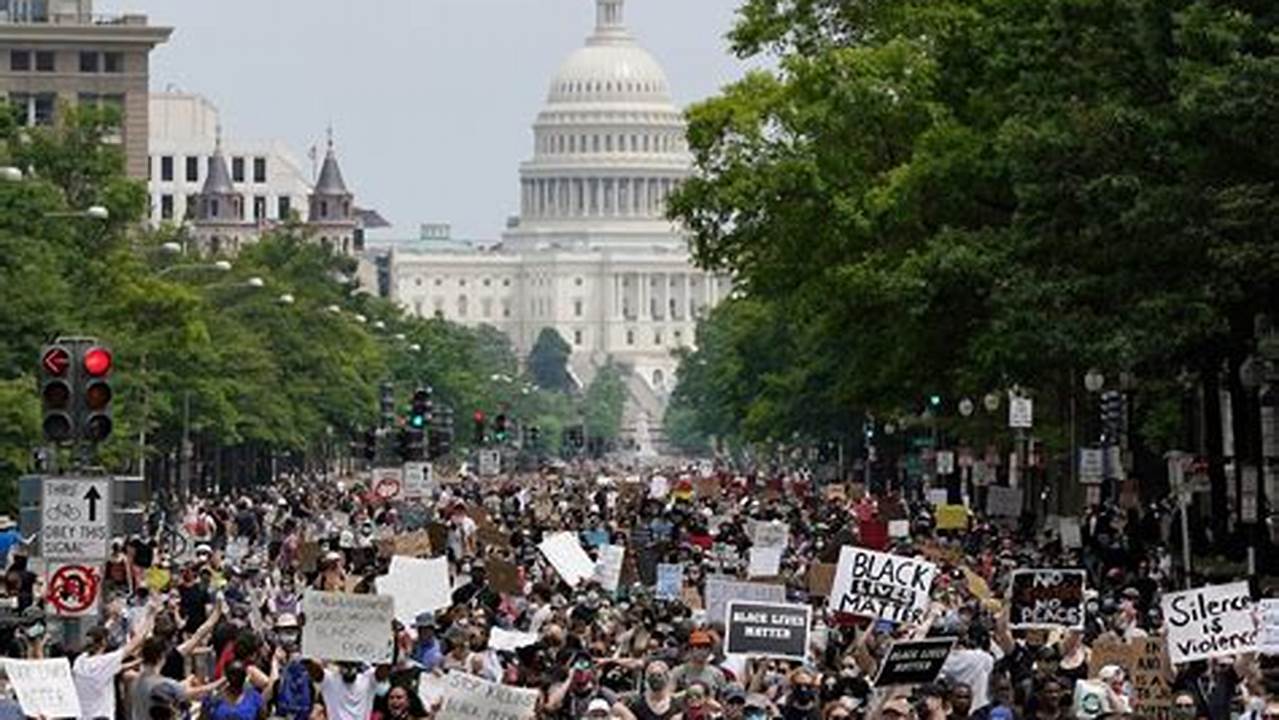 Dc Protests November 14 2024