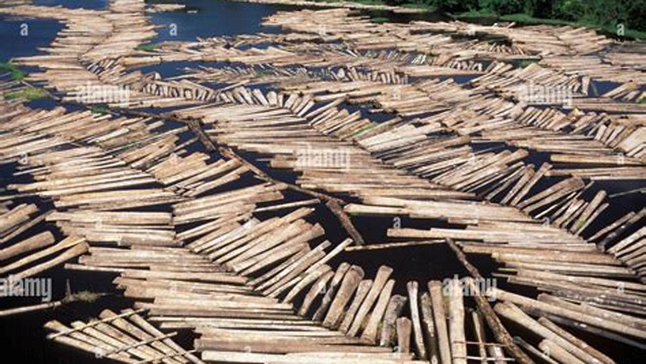 Deforestation Is Endangering Rainforests Worldwide, Driven By Logging, Mining, Agriculture, And Ranching., Images