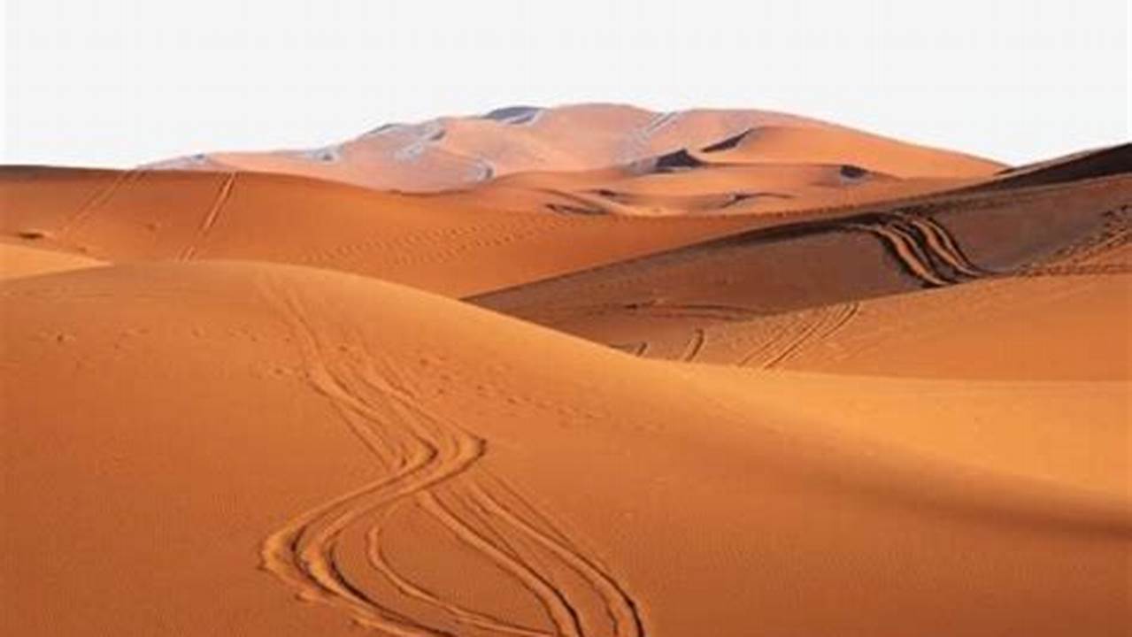 Deserti Caldi: Scopri i Misteri e le Meraviglie delle Terre Aride