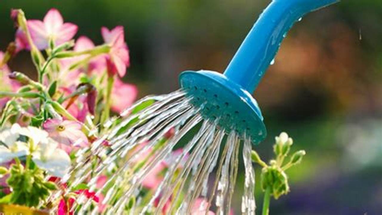 Dicas Para Reutilizar A água Da Piscina Para Regar Plantas, Plantas