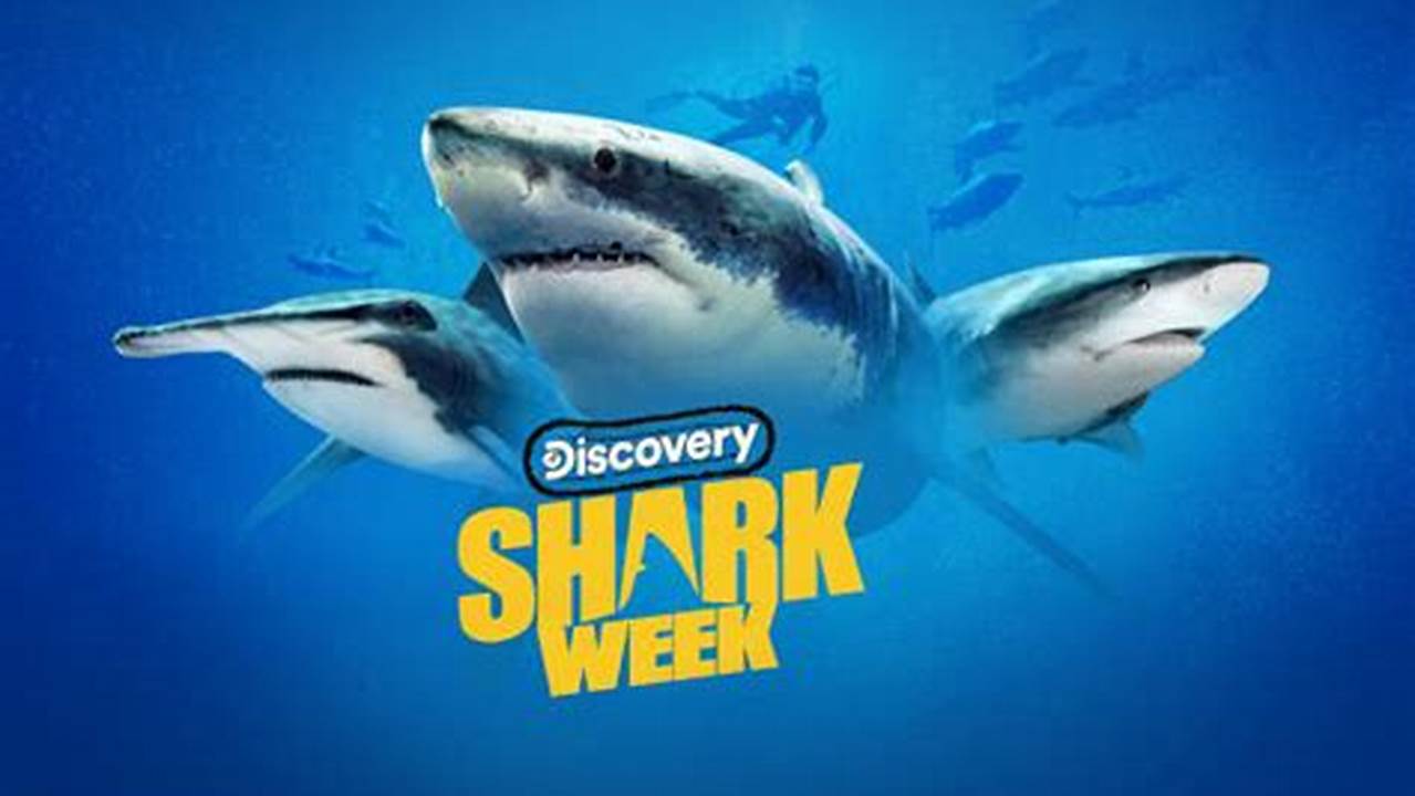 Discovery Plus Shark Week 2024