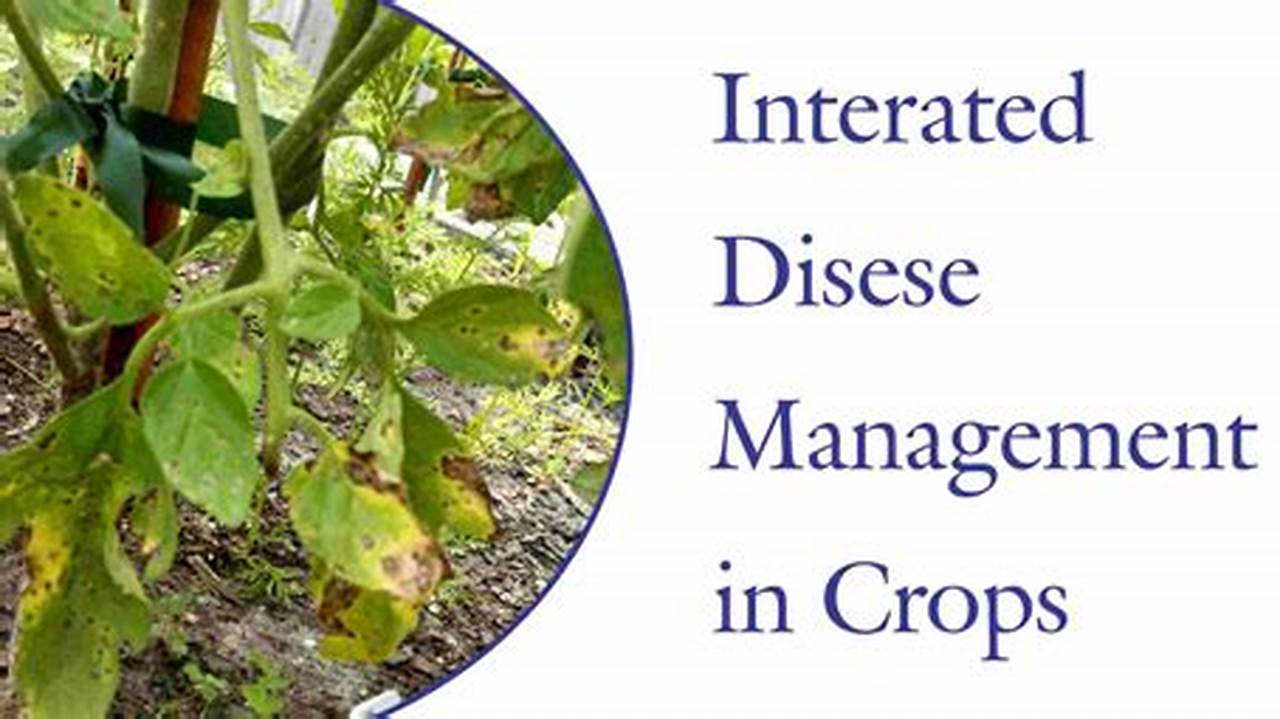 Disease Management, Farming Practices