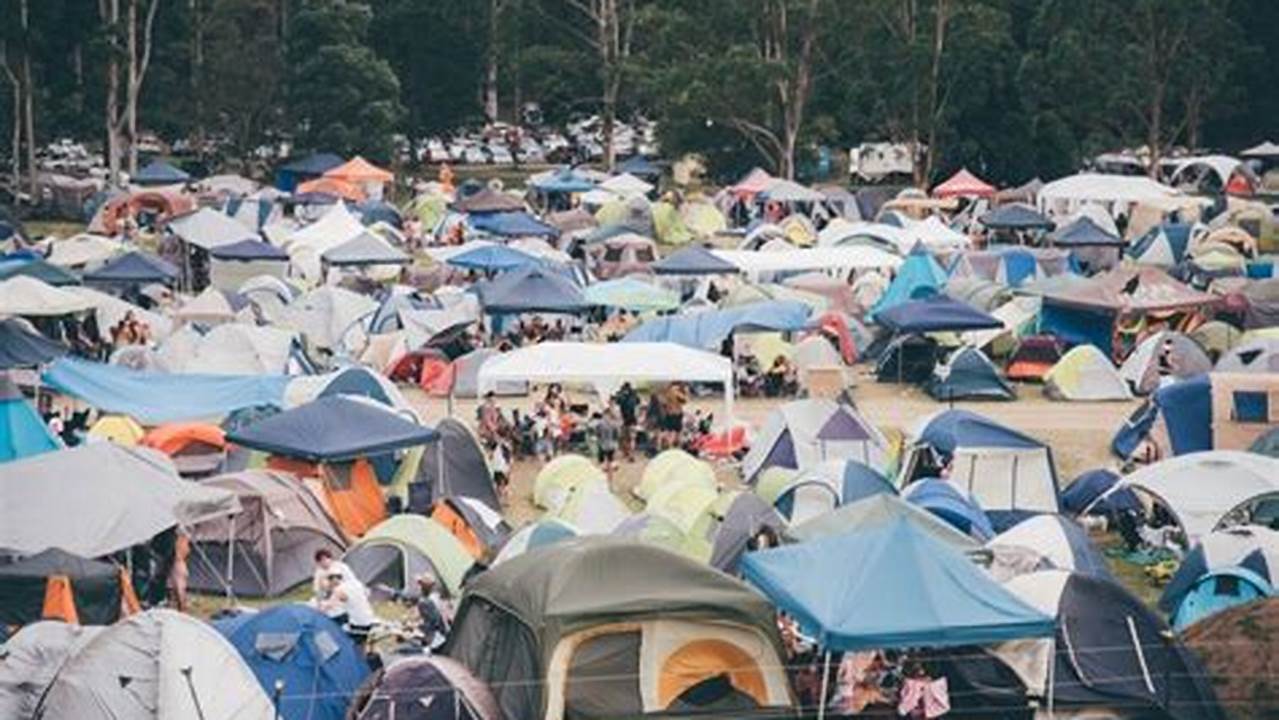 Does This Festival Offer Camping?, 2024