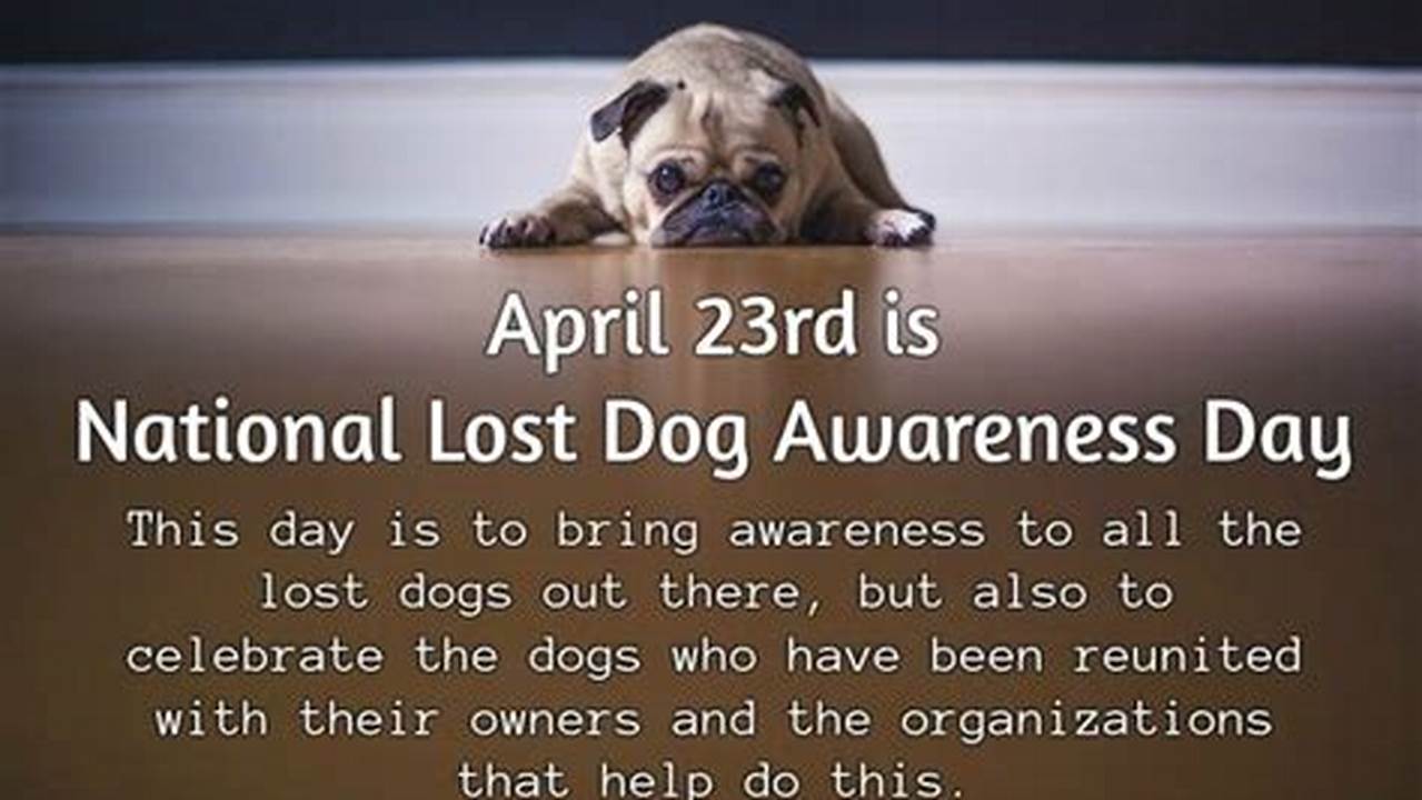 Dog Awareness Days 2024