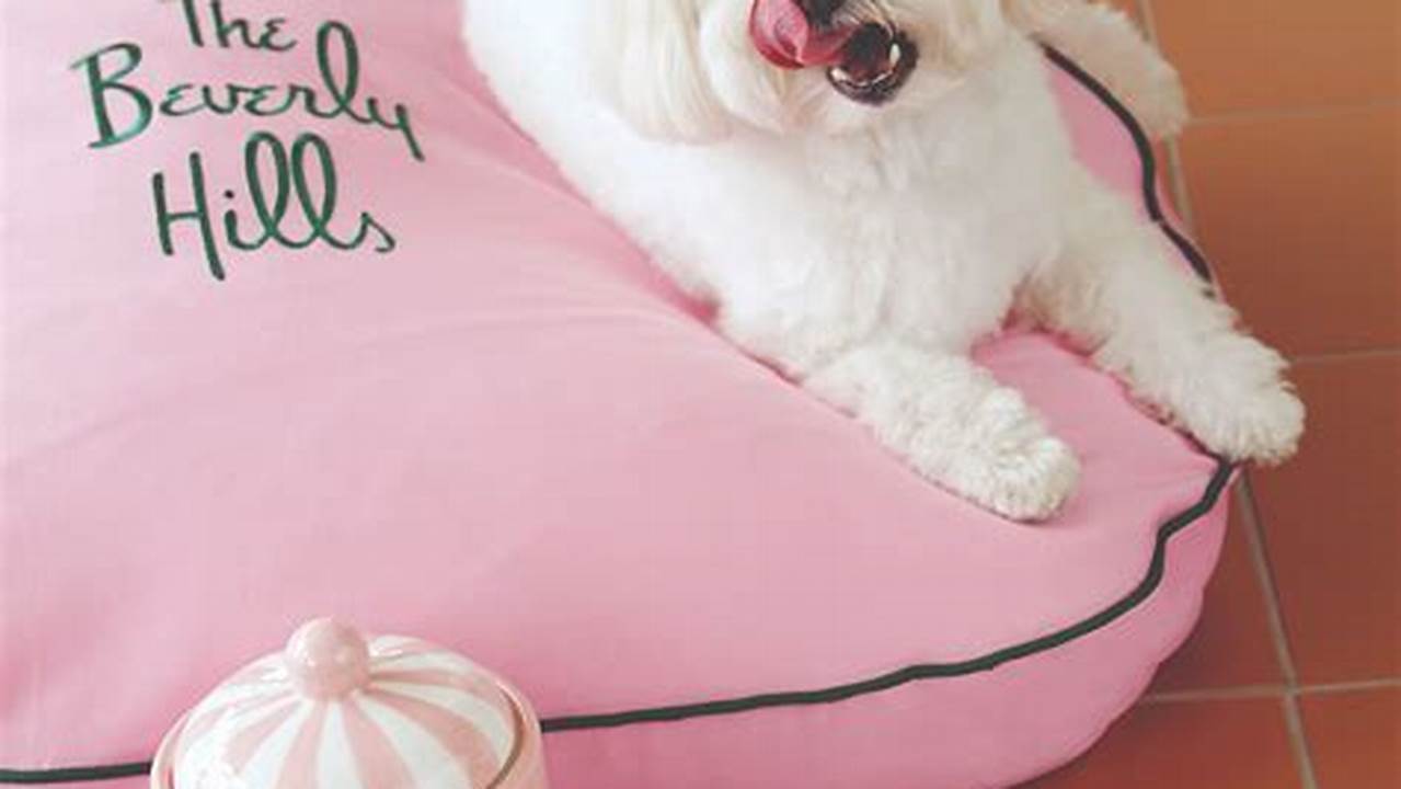Dog Beds And Bowls, Pet Friendly Hotel
