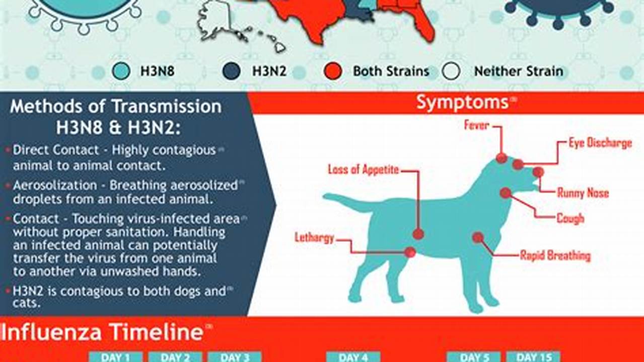 Dog Flu 2024 California