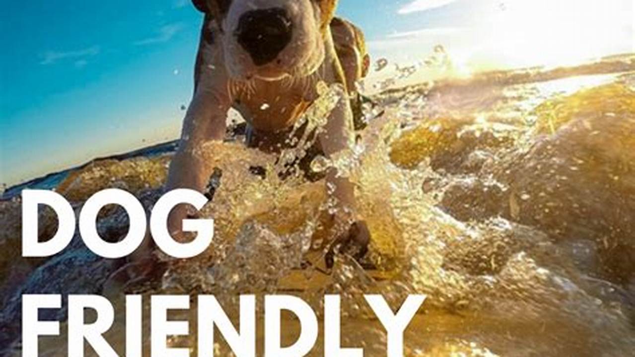Dog Friendly Holidays Uk 2024 Booking Guide