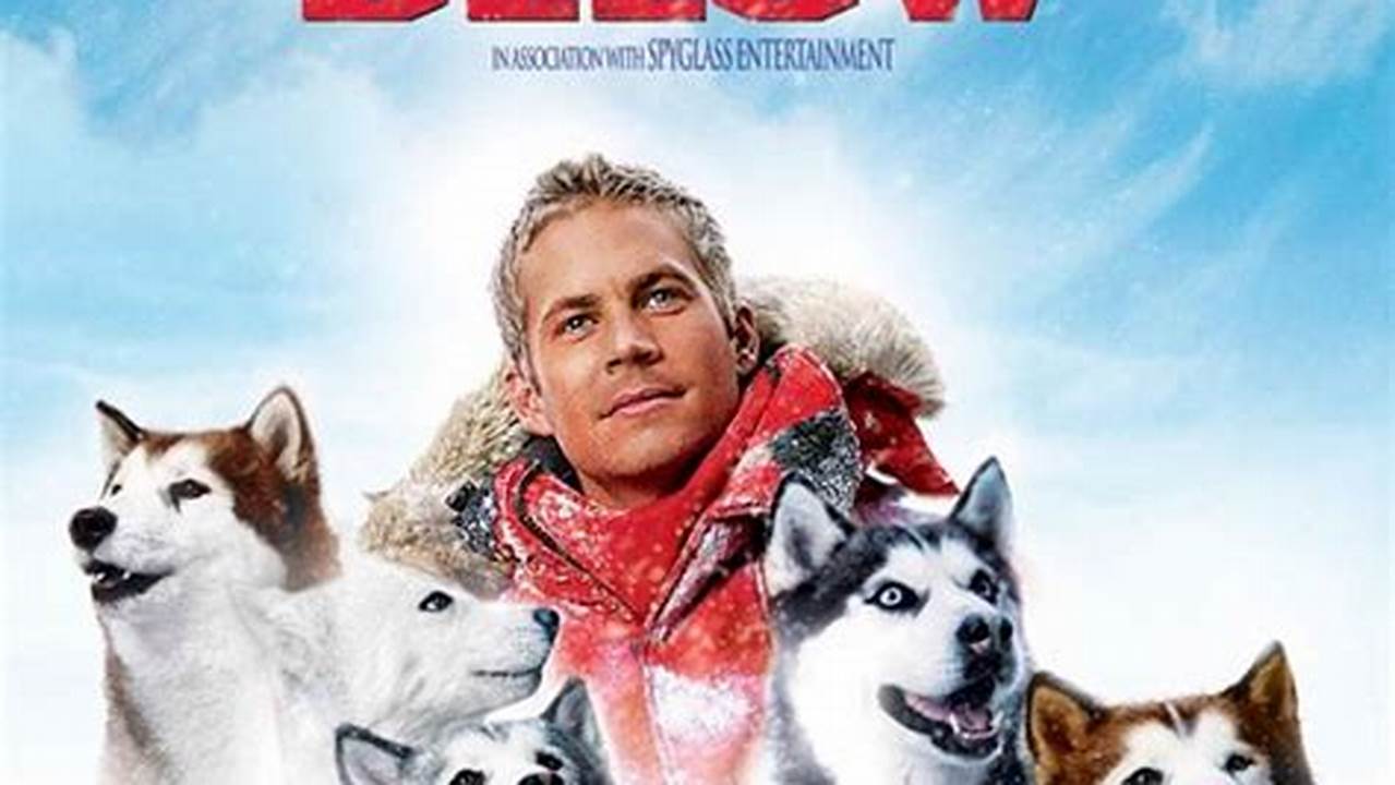 Dog Movies Released In 2024 Olympics