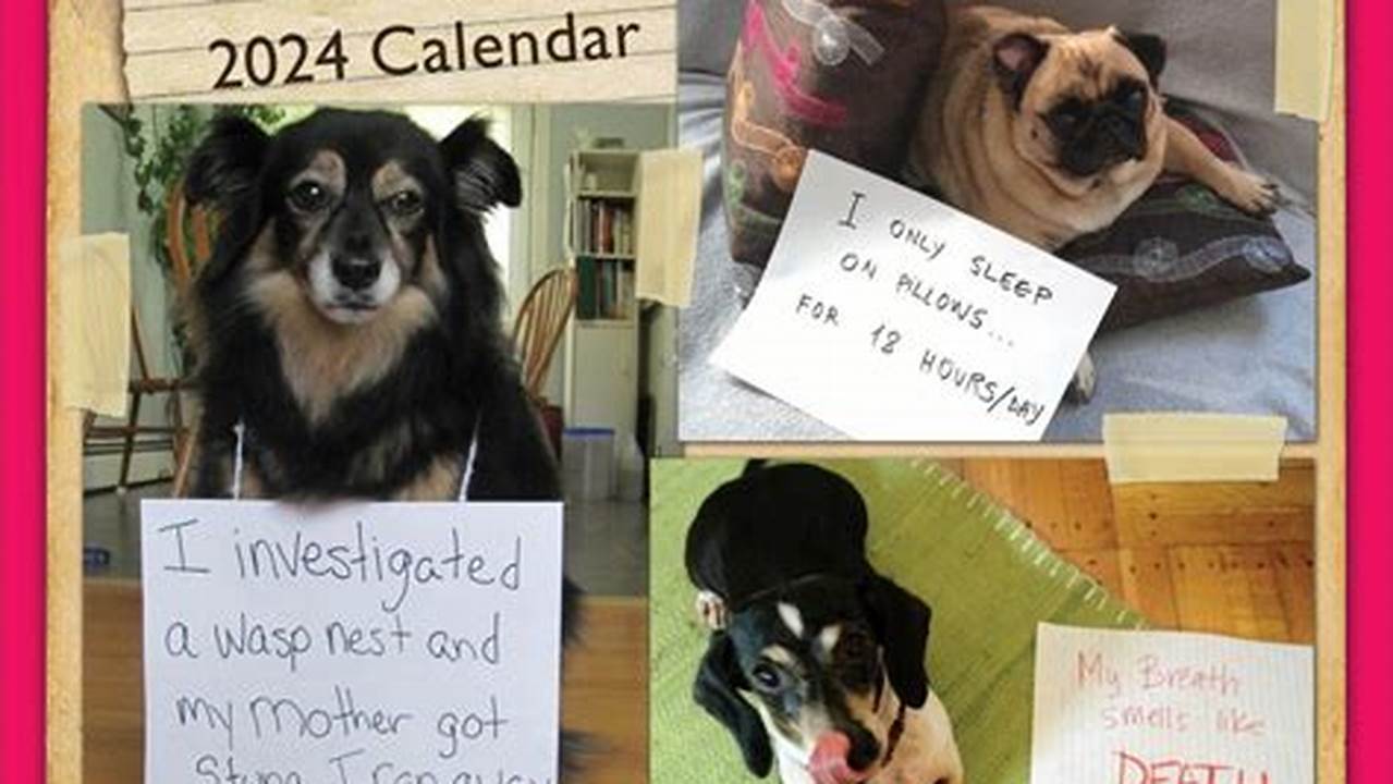 Dog Shaming Calendar 2024