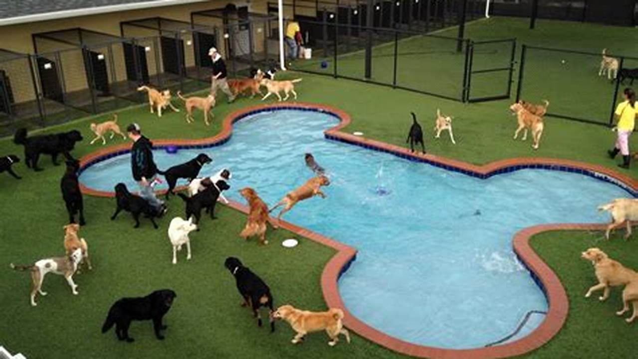 Dog Parks, Pet Friendly Hotel