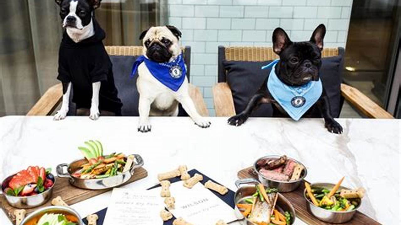 Dog-friendly Dining Options, Pet Friendly Hotel