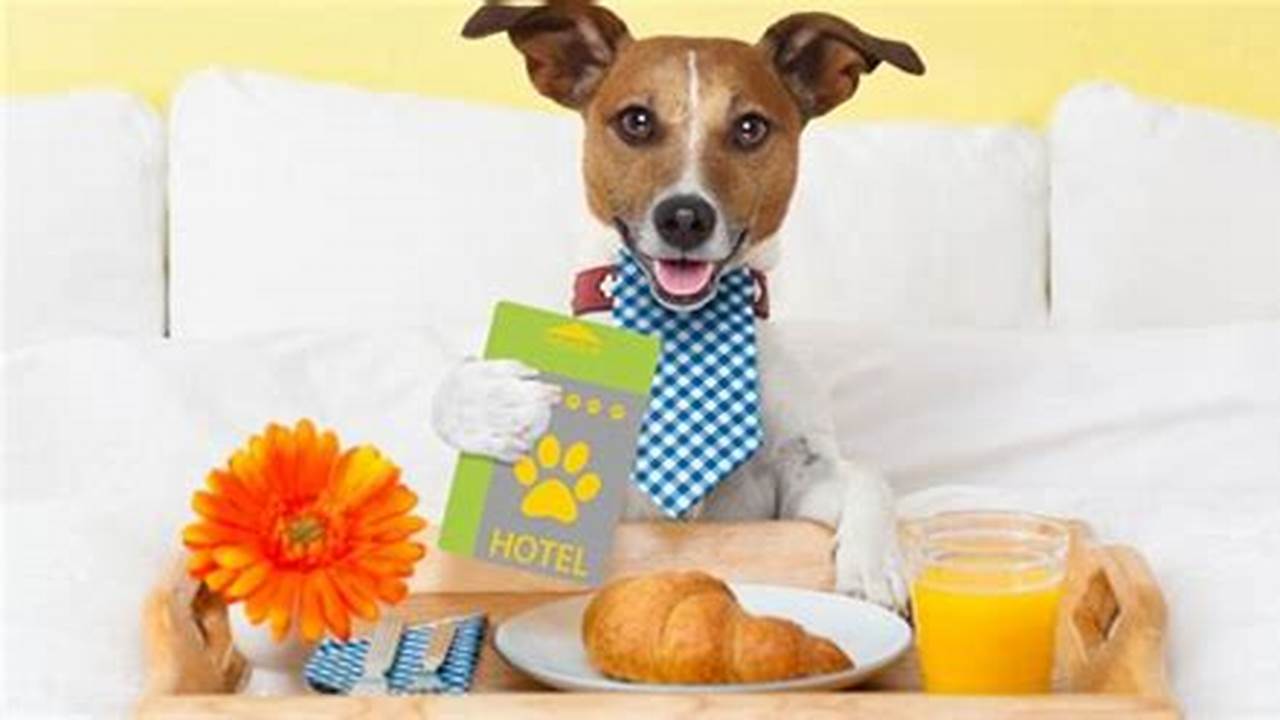 Dog-friendly Etiquette, Pet Friendly Hotel