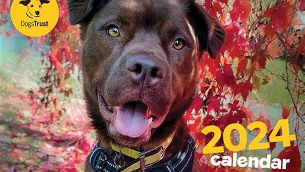 Dogs Trust A4 Calendar 2024., 2024