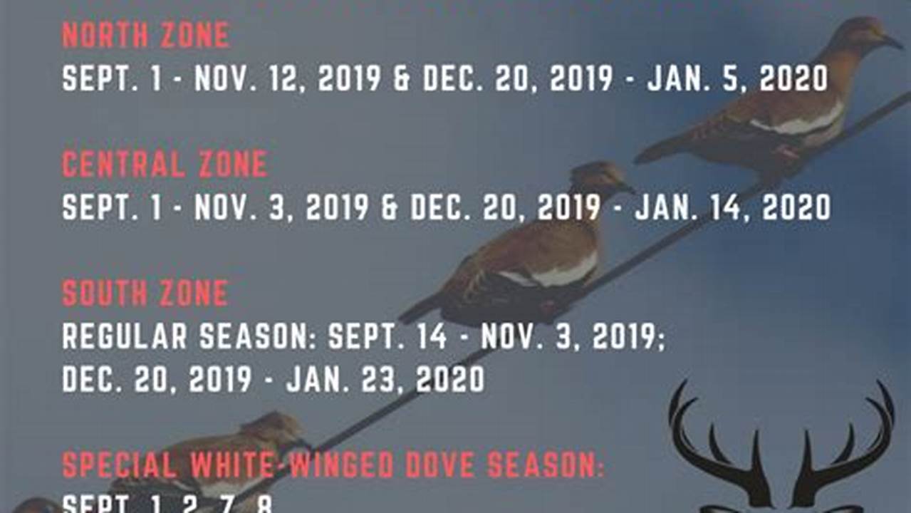 Dove Season Texas 2024