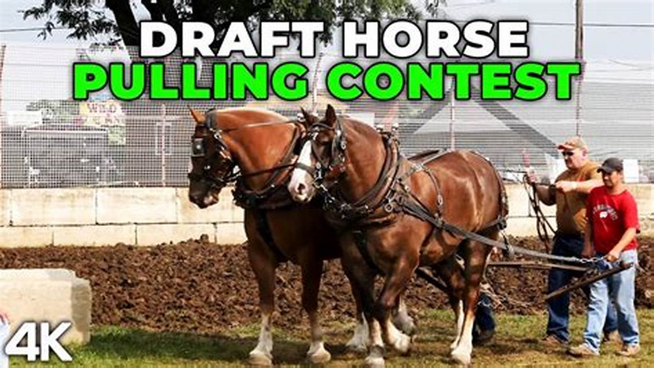 Draft Horse Pulls Schedule 2024