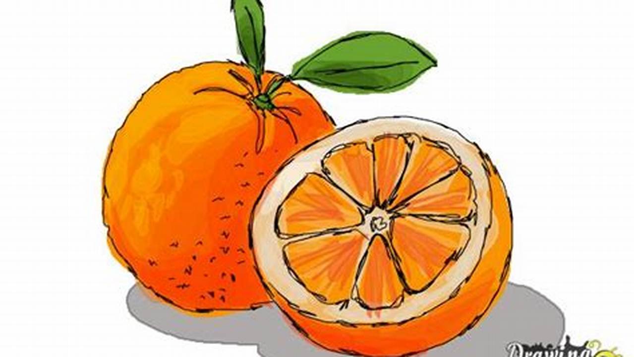 The Artful Simplicity of Capturing Oranges in Drawings