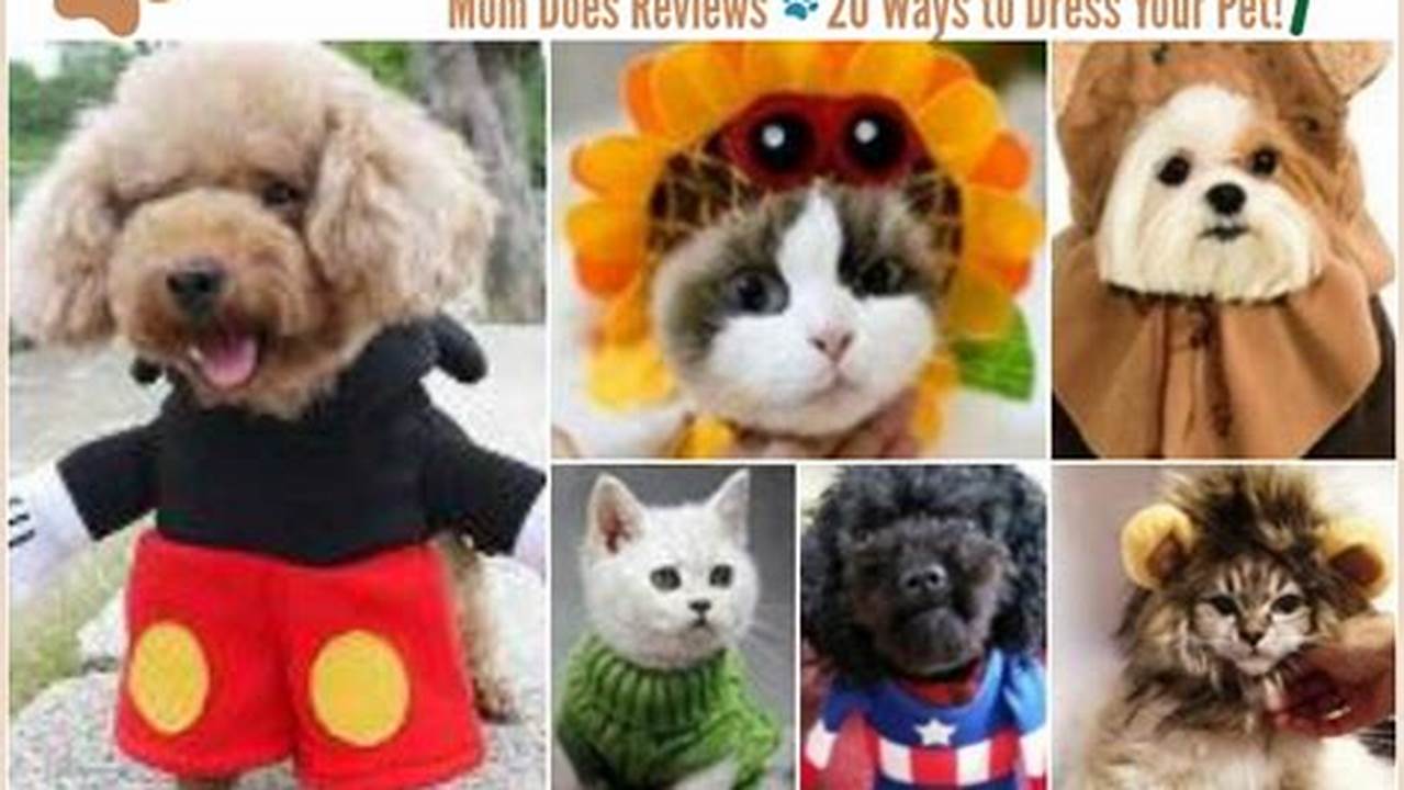 Dress Up Pet Day