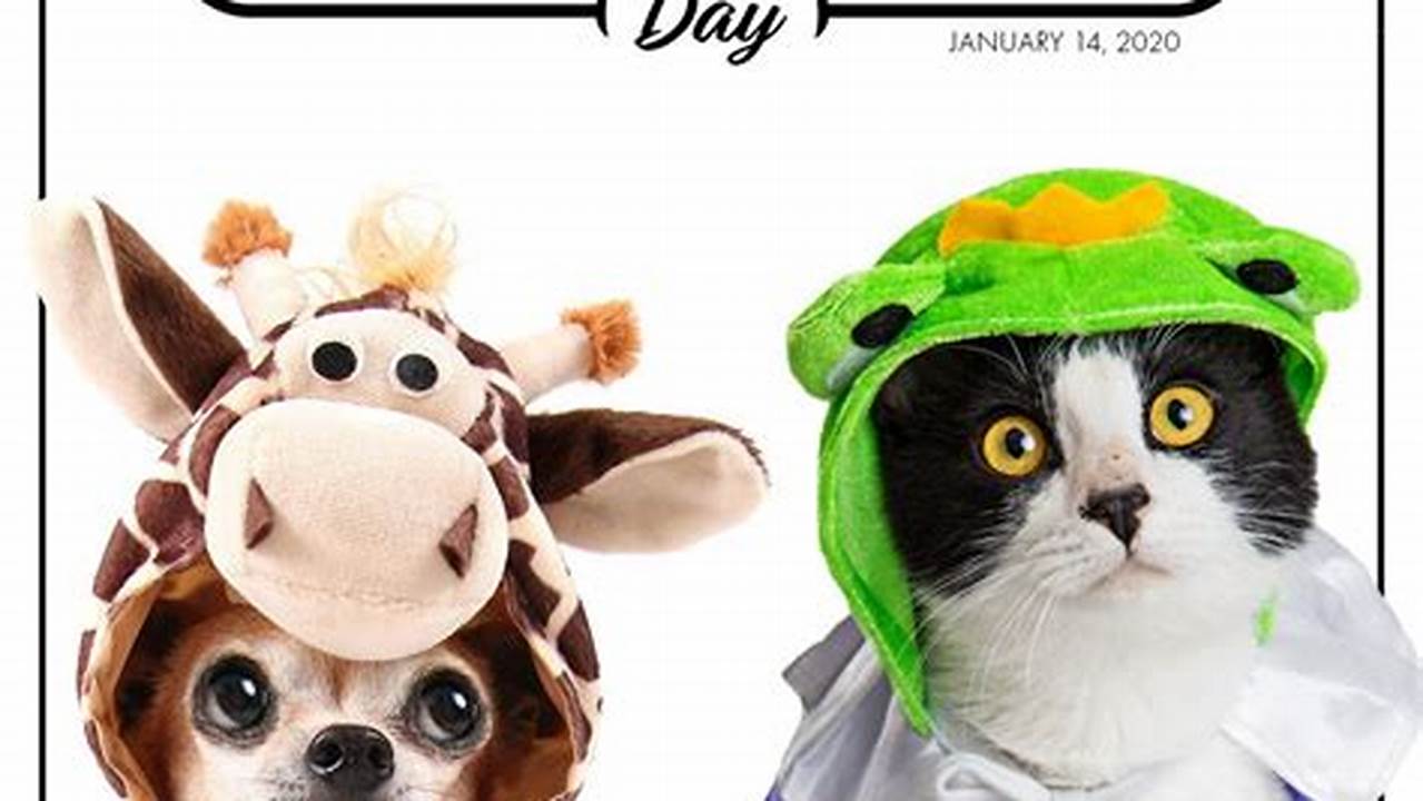 Dress Up Your Pet Day 2024