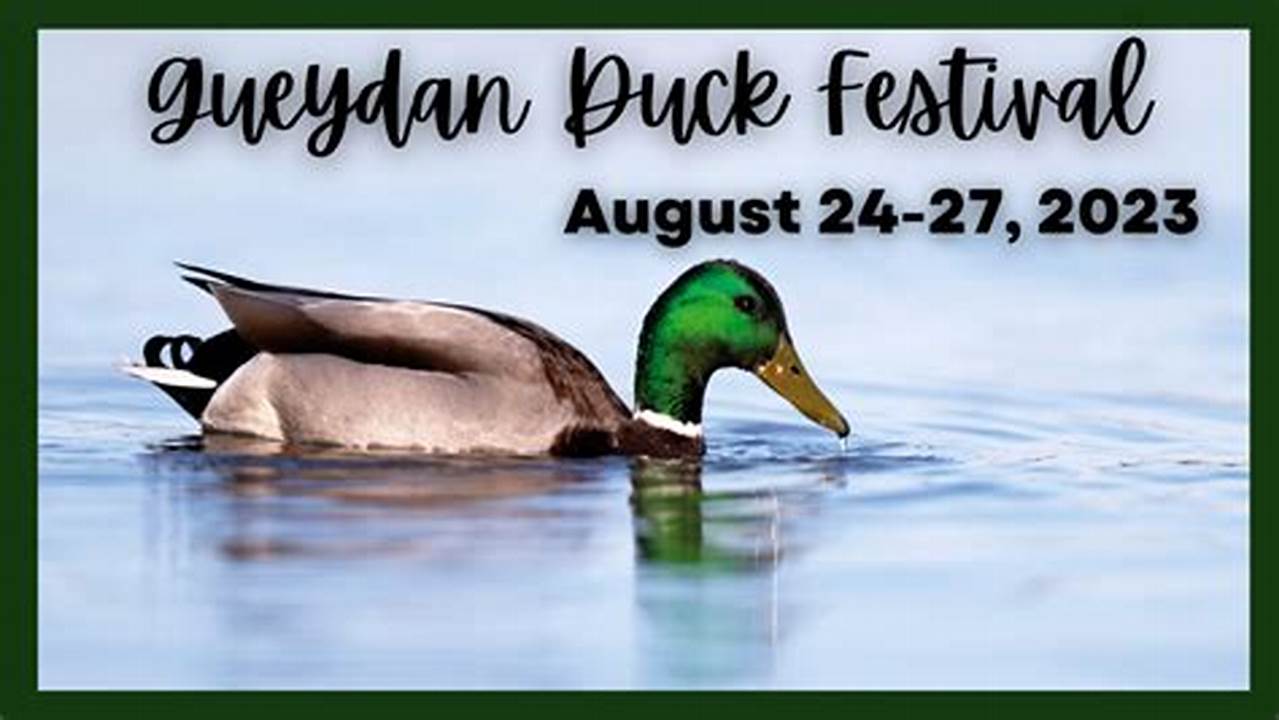 Duck Festival 2024