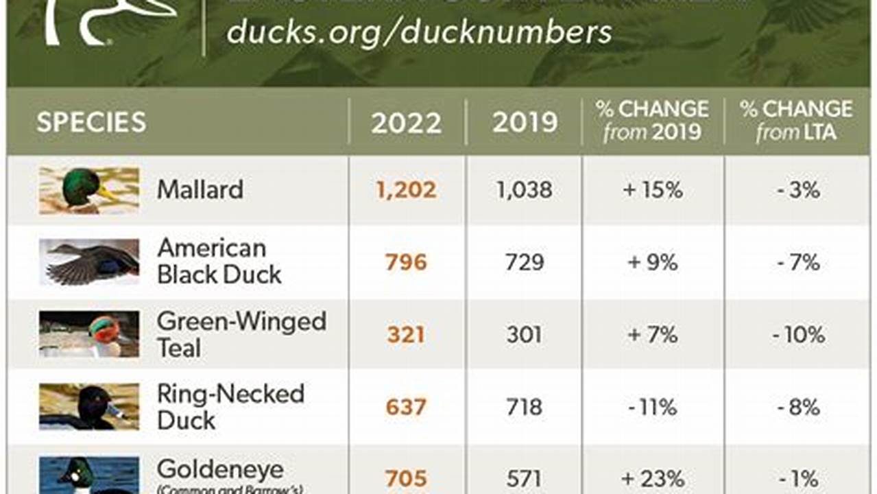 Duck Season Illinois 2024