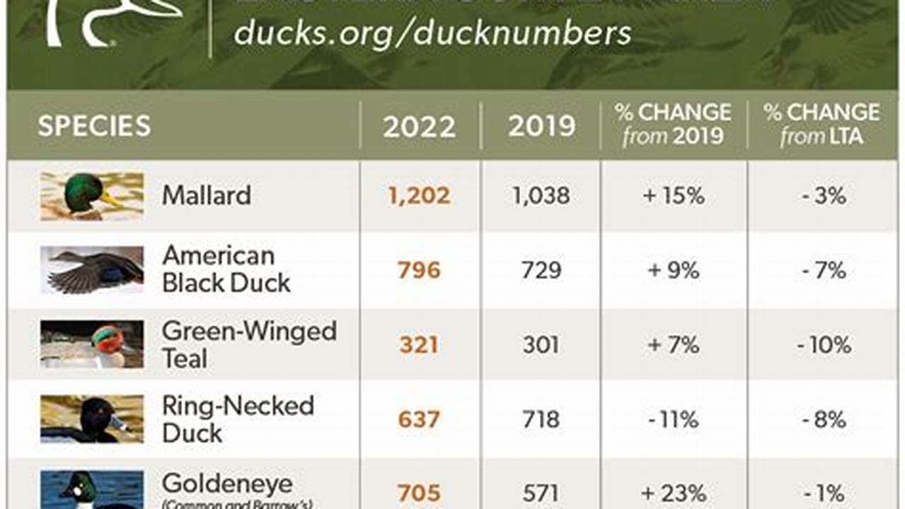 Duck Season In Ohio 2024