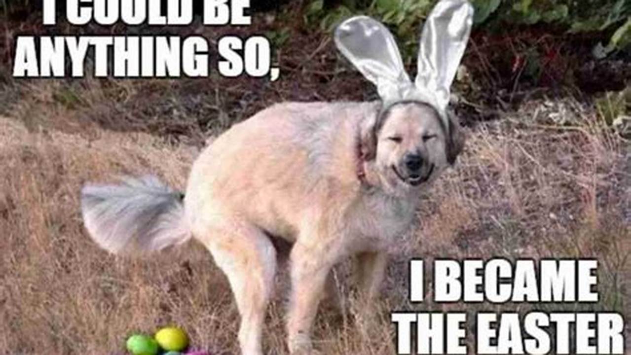 Easter Bunny Memes 2024