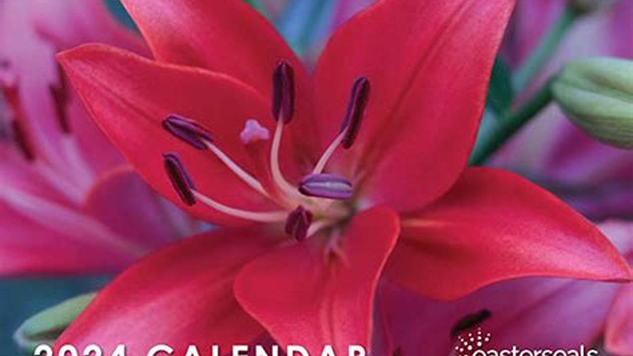 Easter Seals Calendar 2024