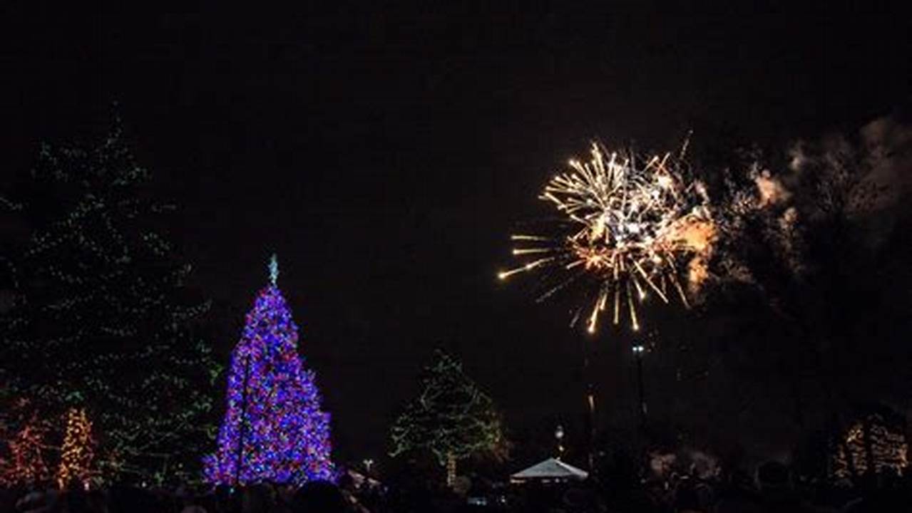 Elk Grove Village Tree Lighting 2024