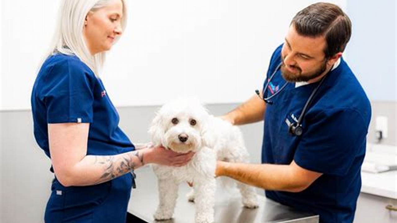 Emergency Care, Pet Friendly Hotel