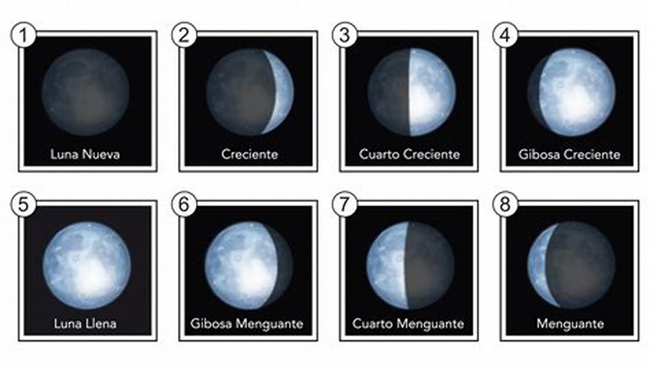Encuentre Aquí Las Fases De La Luna En Todos Los Meses De 2024 En Chile., 2024